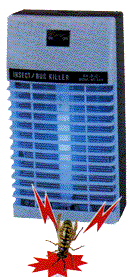 fly_killer.GIF (15149 bytes)