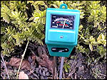 Plant Wizard for soil ph measurement